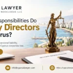 Company director responsibilities in Cyprus